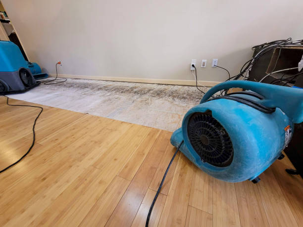 Professional Structural Drying technician working in Strathmore, CA